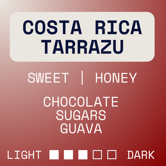 Costa Rica Tarrazu San Diego Honey Process